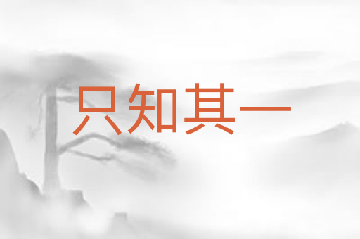 只知其一