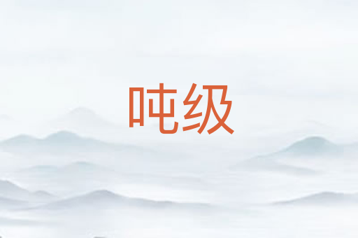 吨级
