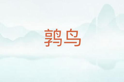 鹑鸟