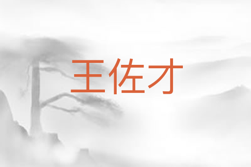 王佐才