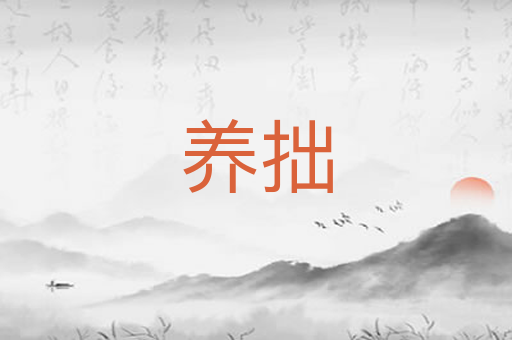 养拙