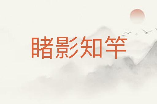 睹影知竿
