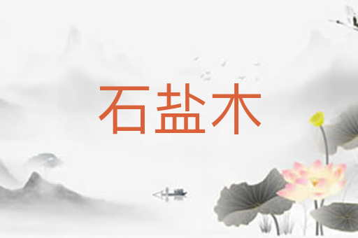 石盐木