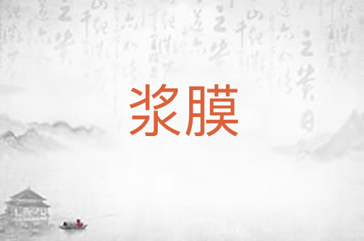 浆膜
