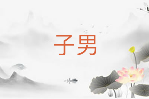 子男