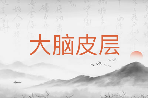 大脑皮层
