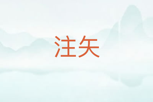 注矢