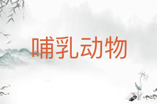 哺乳动物