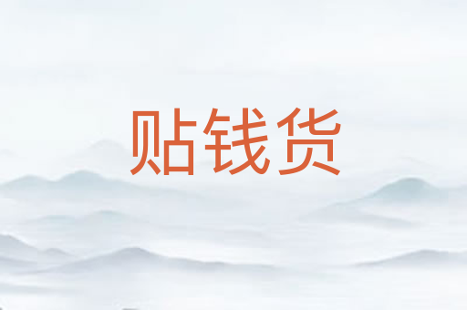 贴钱货