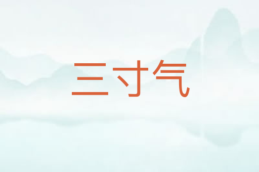三寸气