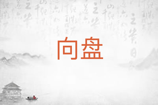 向盘