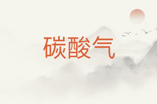 碳酸气