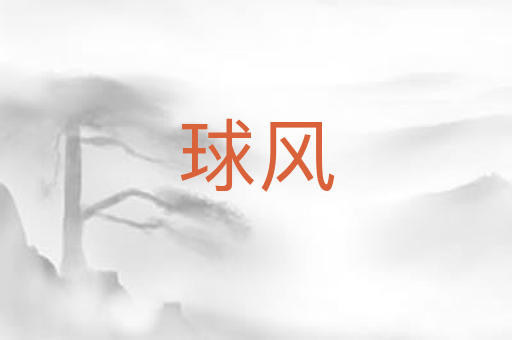 球风