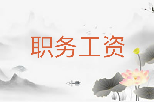 职务工资