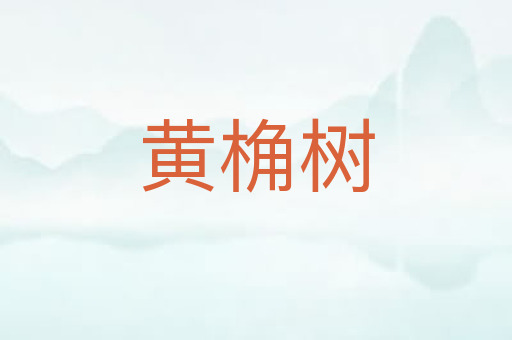 黄桷树