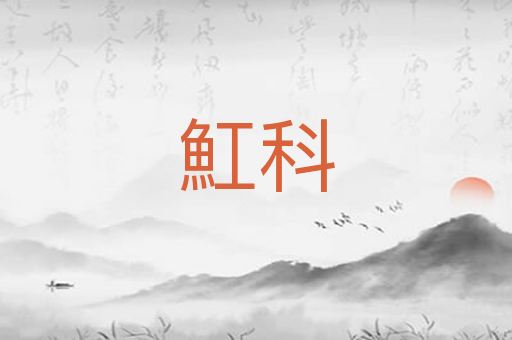 魟科