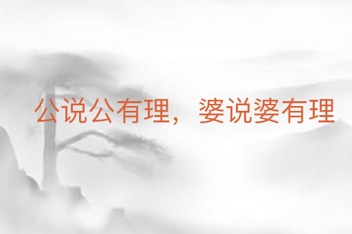公说公有理,婆说婆有理