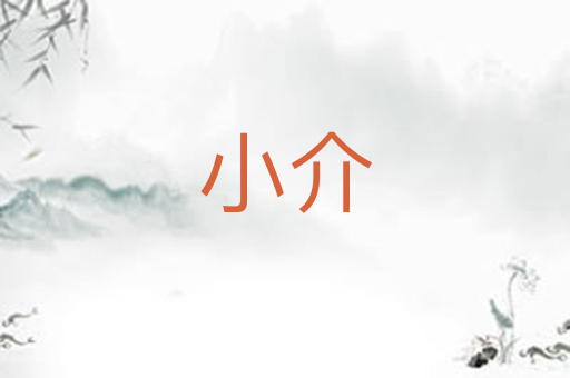 小介