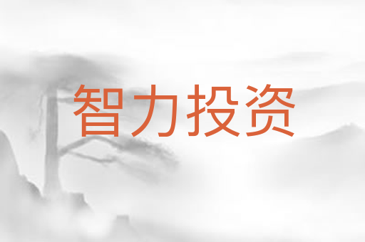 智力投资