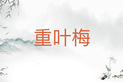 重叶梅