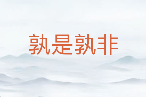 孰是孰非