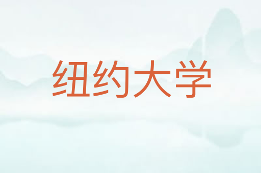 纽约大学