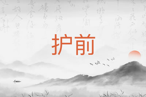 护前