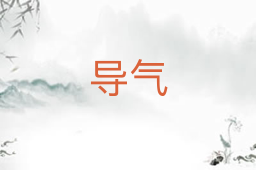 导气