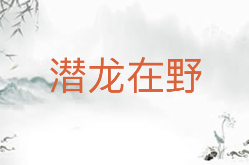 潜龙在野