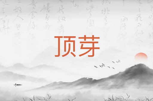 顶芽