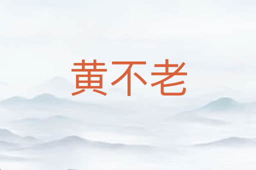 黄不老