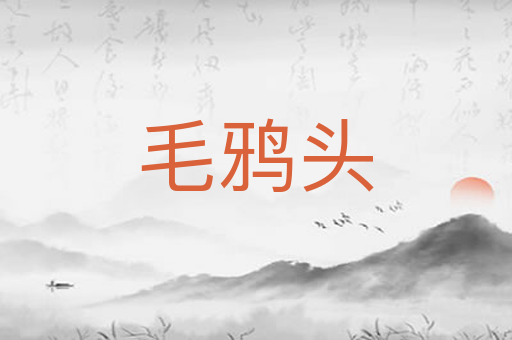 毛鸦头