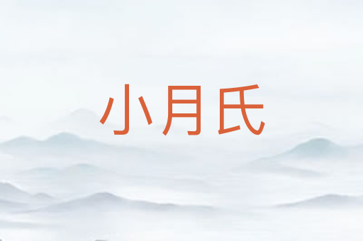 小月氏