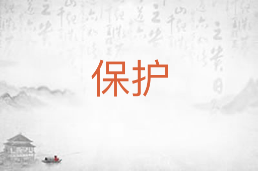 保护