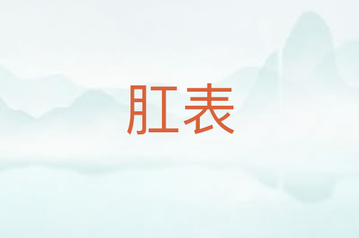 肛表