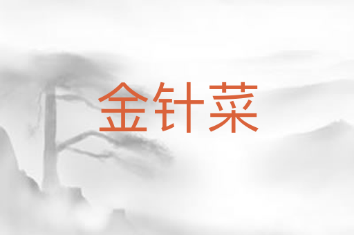 金针菜
