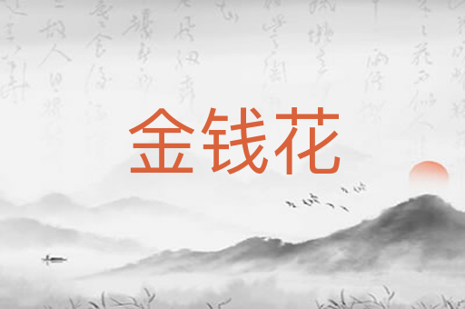 金钱花