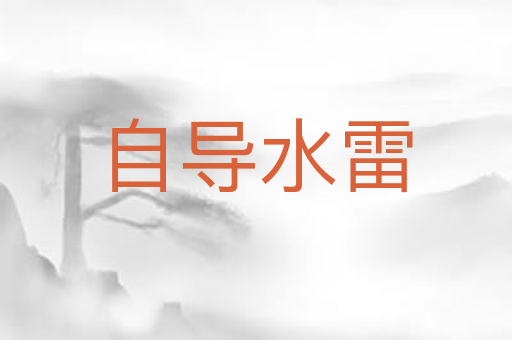 自导水雷