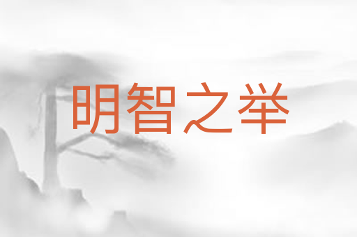 明智之举