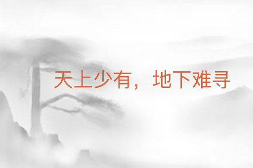天上少有,地下难寻