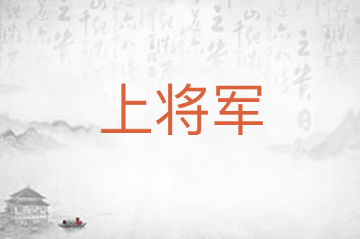 上将军
