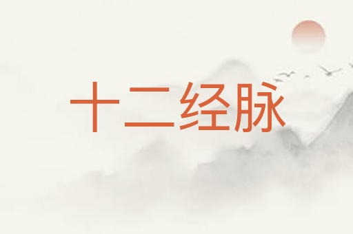 十二经脉