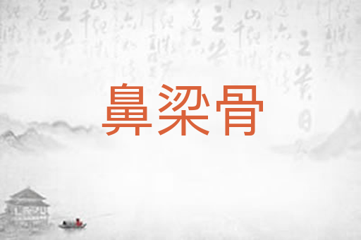 鼻梁骨