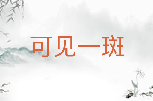 可见一斑