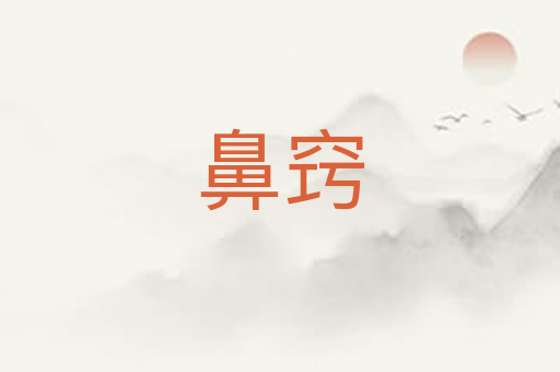 鼻窍