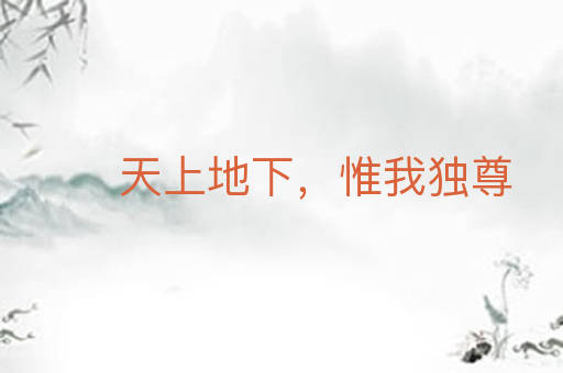 天上地下,惟我独尊