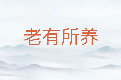 老有所养