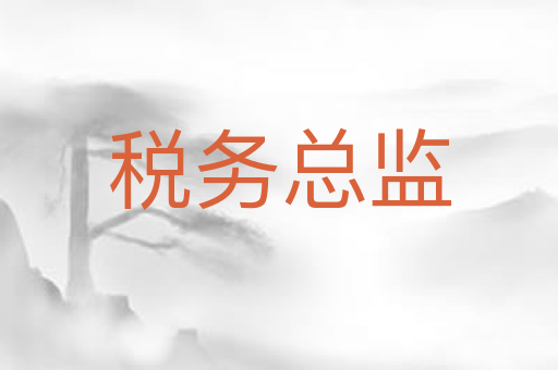 税务总监