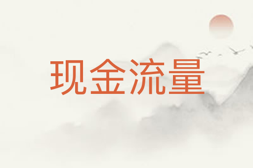 现金流量