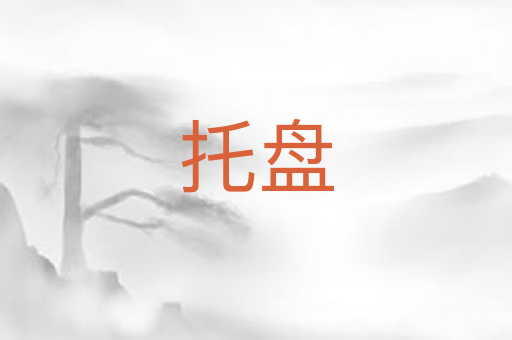 托盘
